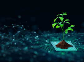 Green Computing, Green Technology, Green IT, csr, and IT ethics Concept.